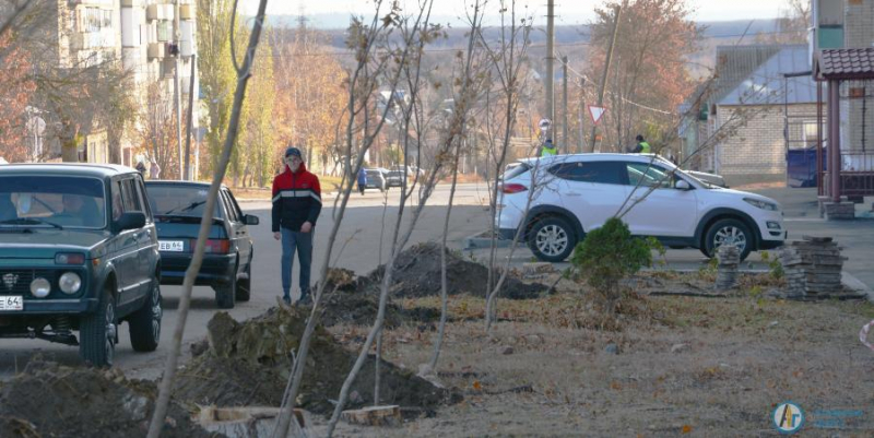 У аткарского ЗАГСа заложили кленовую аллею