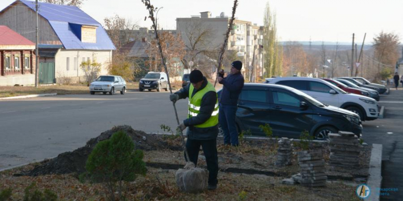У аткарского ЗАГСа заложили кленовую аллею