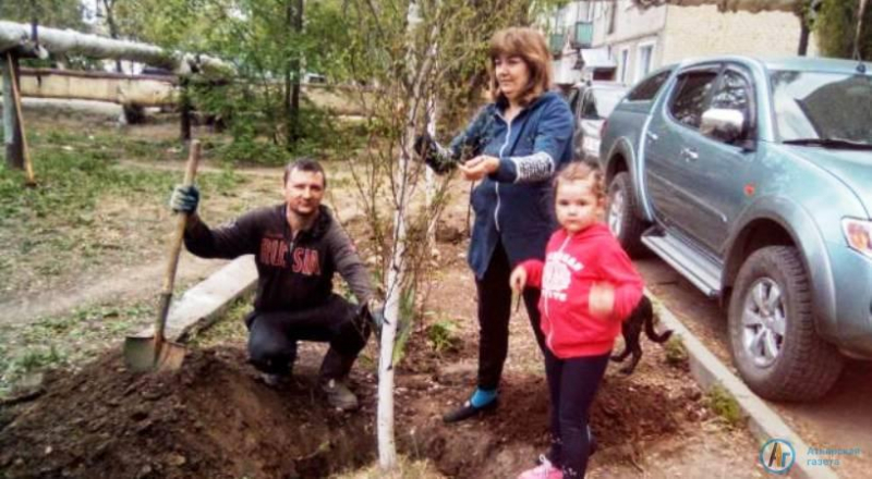 У домов ветеранов в Аткарске посадили цветы и деревья
