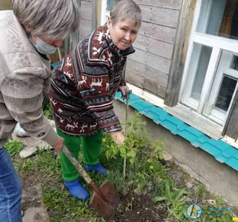 У домов ветеранов в Аткарске посадили цветы и деревья