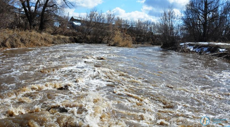 Уровень воды в Медведице продолжает прибывать