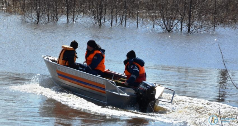 Уровень воды в Медведице продолжает прибывать