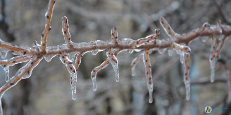 В Аткарске ледяной дождь повредил линии электропередач
