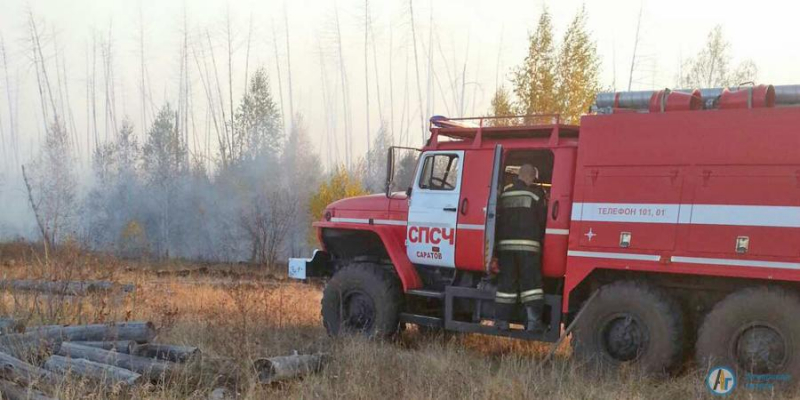 В Аткарском районе потушили крупный лесной пожар