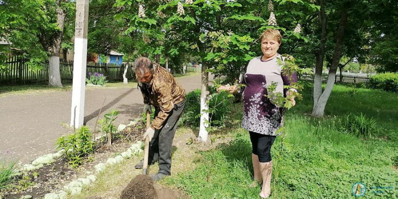 В большеекатериновском парке появилась семейка пингвинчиков 
