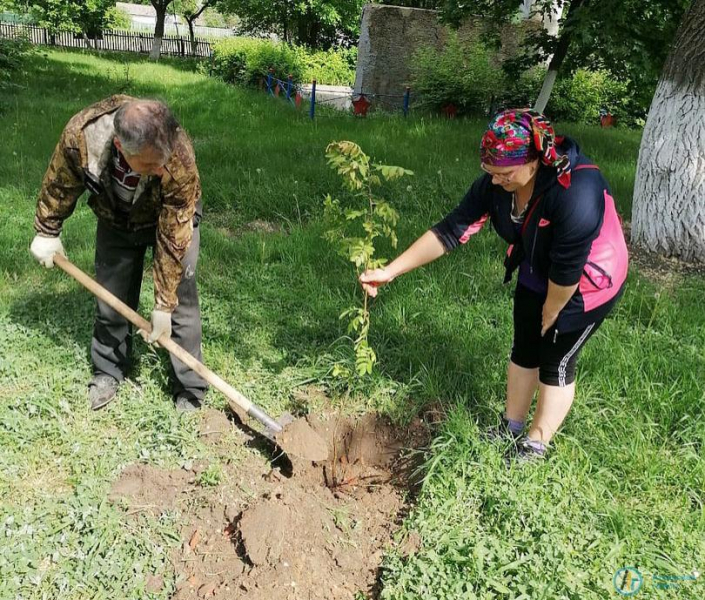 В большеекатериновском парке появилась семейка пингвинчиков 