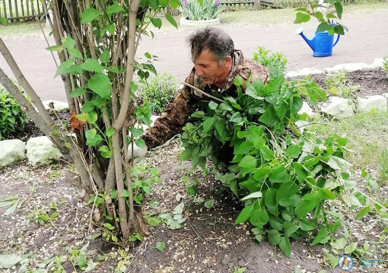 В большеекатериновском парке появилась семейка пингвинчиков 