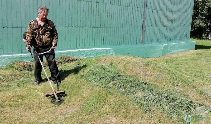 В большеекатериновском парке появилась семейка пингвинчиков 