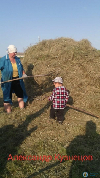 В Большой Екатериновке провели День села онлайн