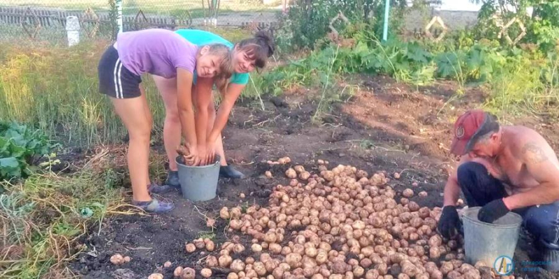 В Большой Екатериновке выбрали лучшее фото о родном селе 