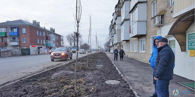 В центре залинейного микрорайона заложили кленовую аллею