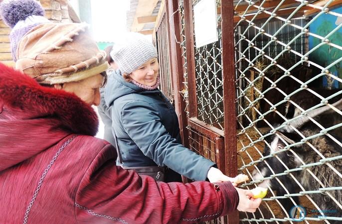 В день доброты лису в Аткарском зоопарке  угостили капустой