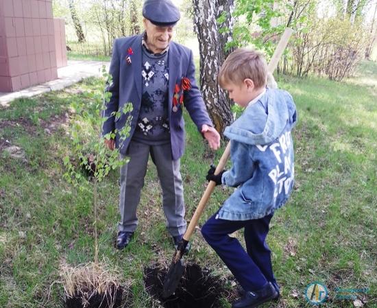 В День Победы в Лопуховке ветеран посадил березы как символ России