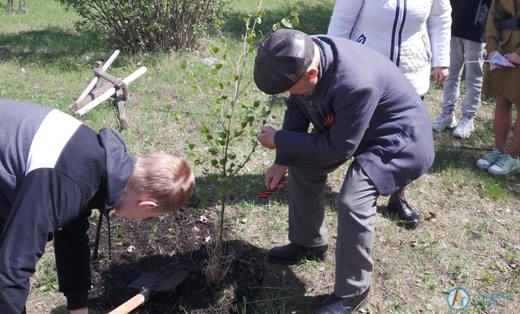 В День Победы в Лопуховке ветеран посадил березы как символ России