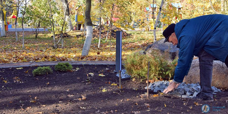 В городском парке создают рокарий 