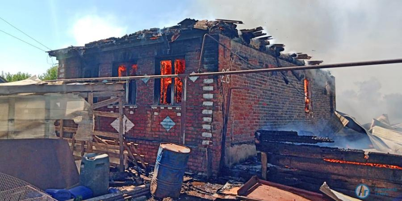 В Киселевке на пожаре погибли животные