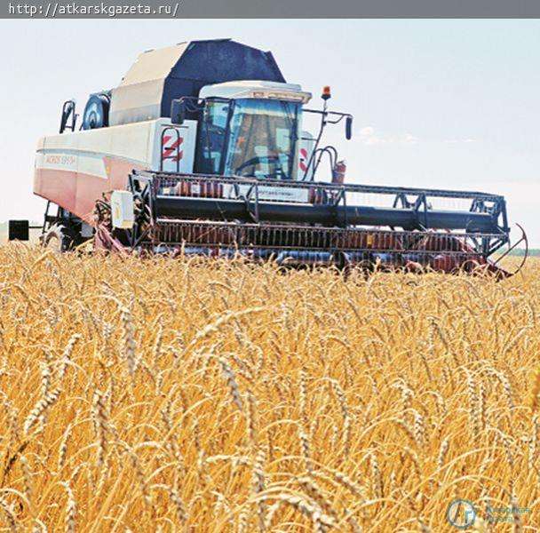 В крупнейшем хозяйстве района комбайны вышли в поля
