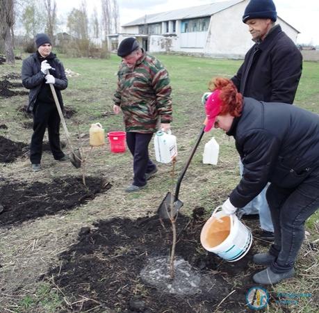 В Лопуховке участники акции "Сад памяти" высадили 50 каштанов
