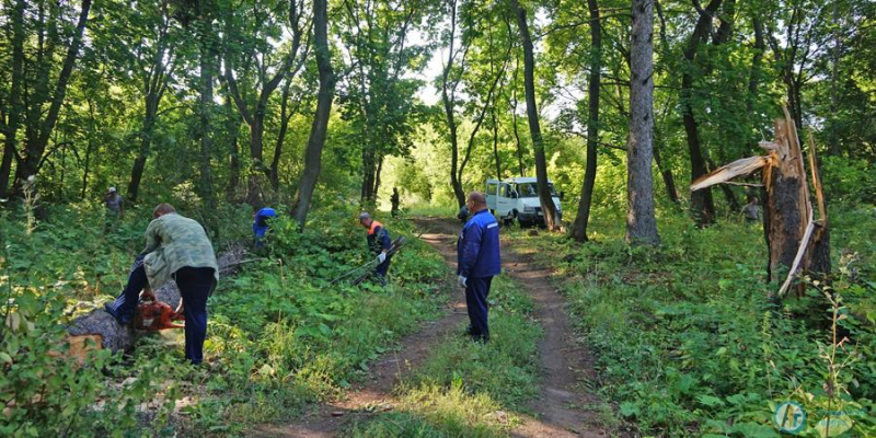 В Марфинском парке прошел экологический субботник