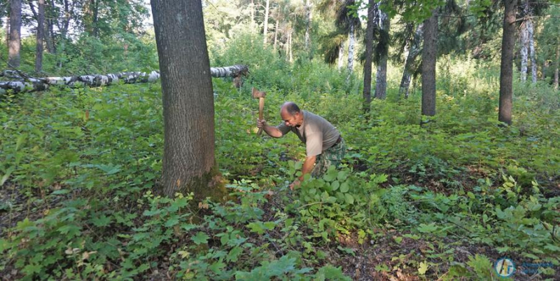 В Марфинском парке прошел экологический субботник