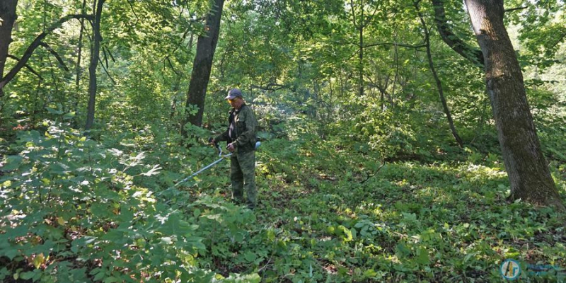 В Марфинском парке прошел экологический субботник