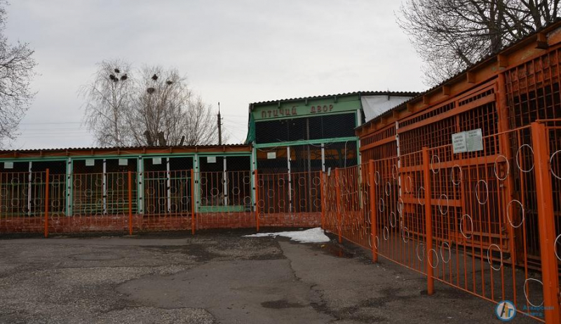 В нашем зоопарке птицы и звери скучают без нас