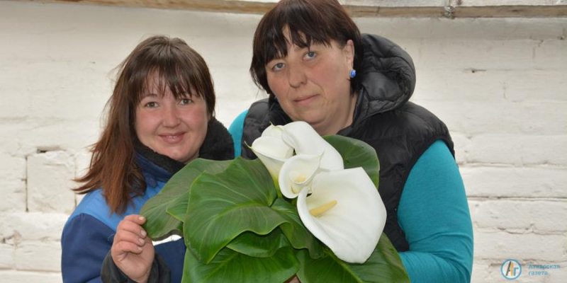В парковых теплицах весеннее настроение