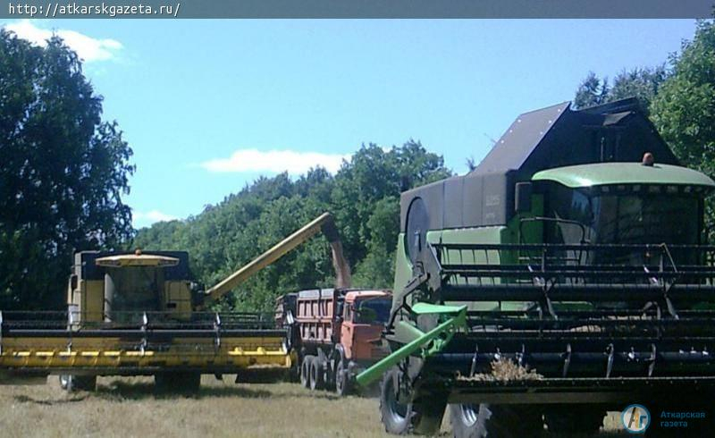 В Песчанке собирают рекордный урожай гороха