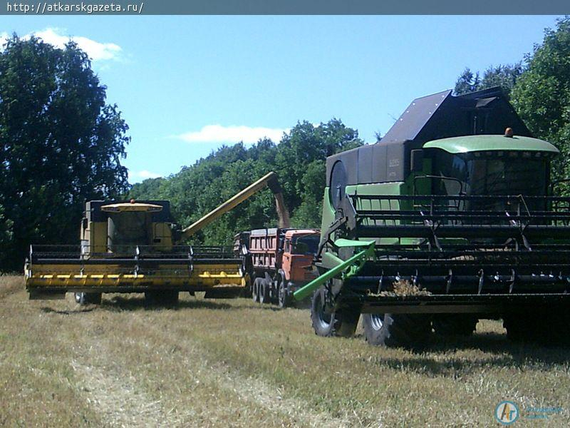 В Песчанке собирают рекордный урожай гороха