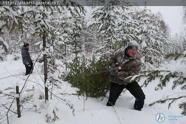 В предновогодние дни в лесах усилено патрулирование