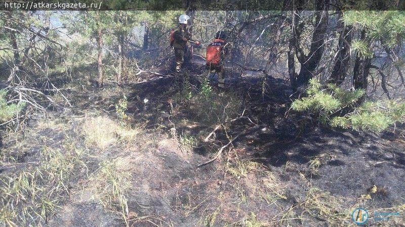 В районе Малых Копен локализован крупный природный пожар (ФОТО)
