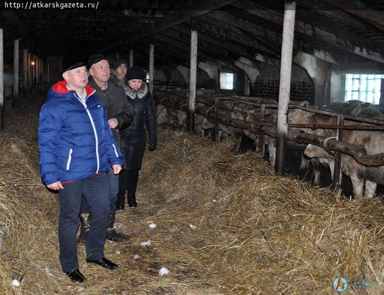 В самом большом животноводческом хозяйстве района хотят увеличить поголовье скота