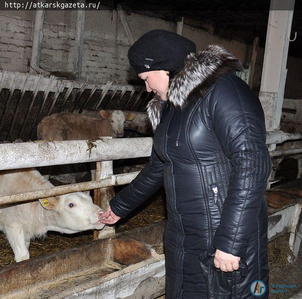 В самом большом животноводческом хозяйстве района хотят увеличить поголовье скота