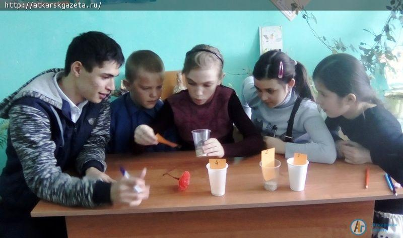 В школе села Петрово прошла Неделя экологии