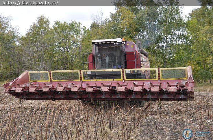 В закромах района 25000 тонн семян подсолнечника