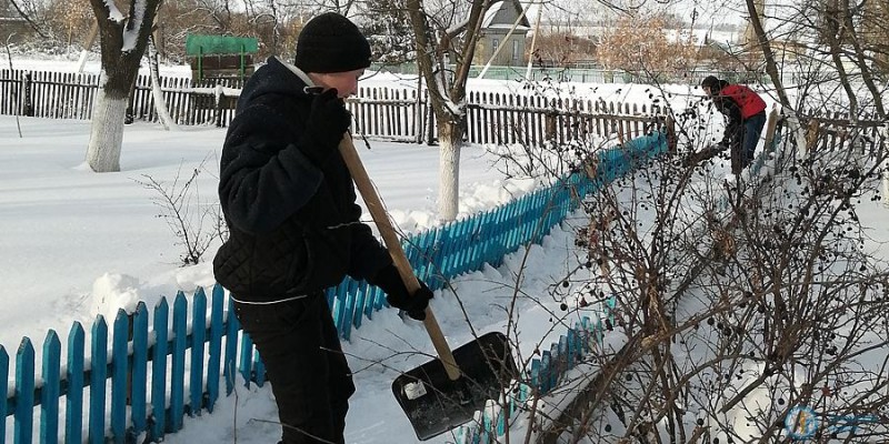 В заложенном ветеранами парке навели порядок