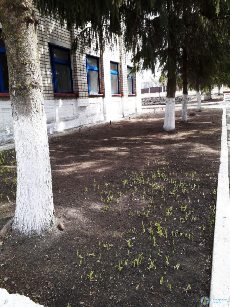 В Земляных Хуторах ученики преобразили школьную территорию