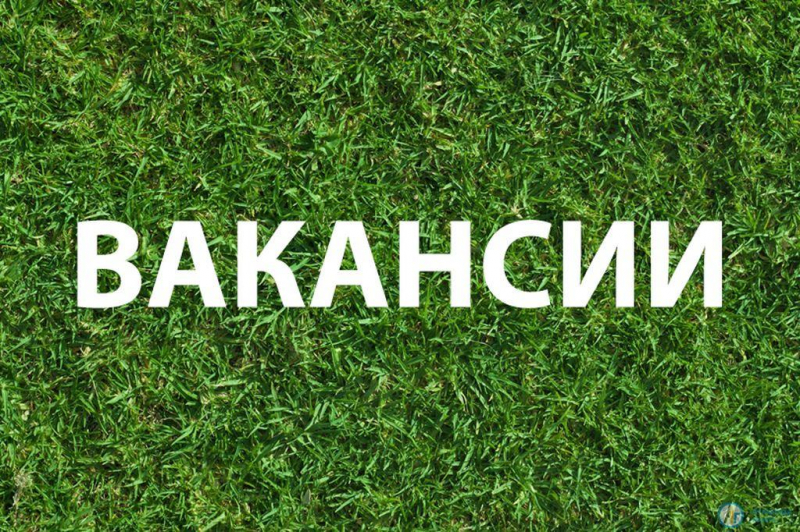 Вакансии. Центр детского отдыха приглашает на летнюю работу  