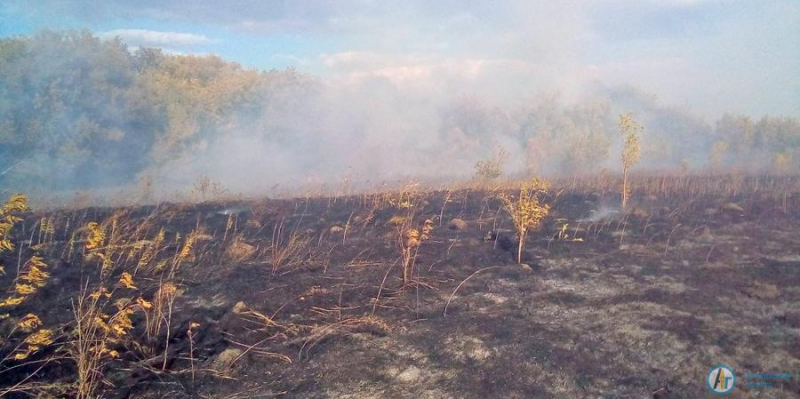 Вчера под Колышлеем тушили природный пожар 