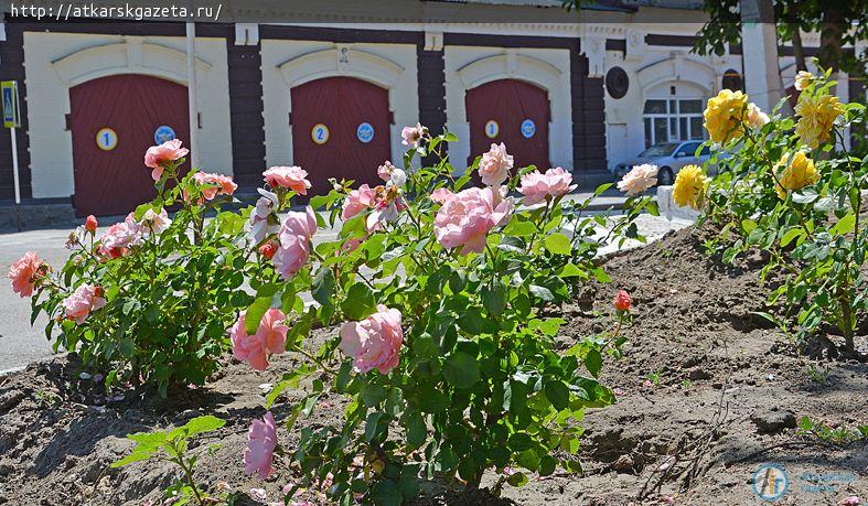 Виктор ЕЛИН поблагодарил аткарчан за участие в озеленении города