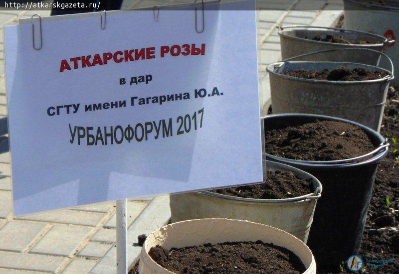 Виктор Елин принял участие во всероссийской урбанистической конференции