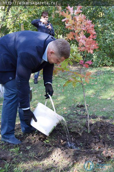 Виктор ЕЛИН заложил в городском парке уникальную дубраву