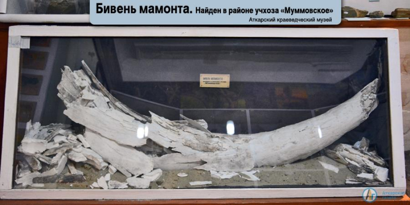 Виртуальная экскурсия по аткарским музеям в фоторепортаже "АГ"