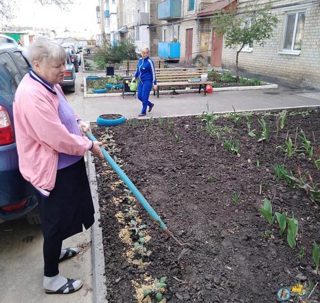Во дворе пятиэтажки на Революционной появился декоративный пруд