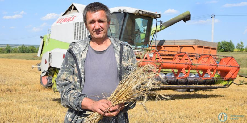 Водителю из Языковки на уборочной помогает собака 