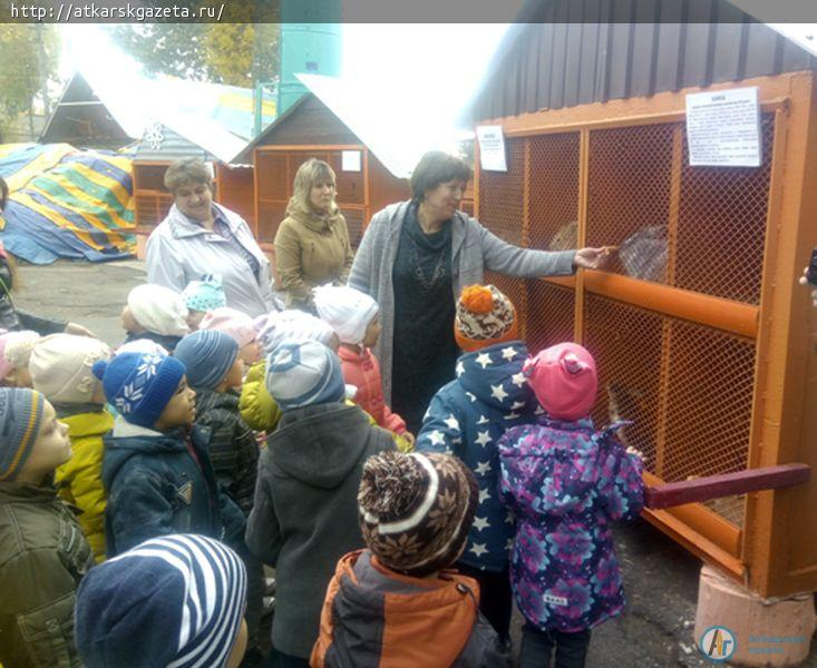 Воспитанники детсада «Ласточка» принесли лакомства обитателям зоопарка