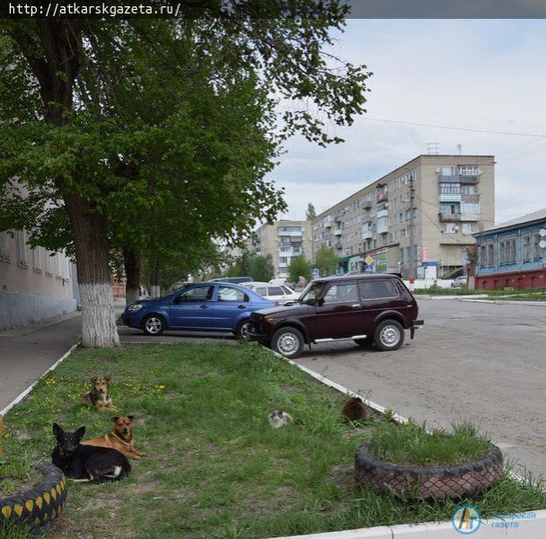 Выходя из дома, лучше взять зонтик