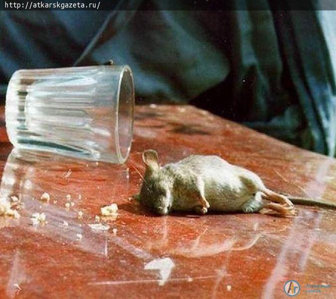 За торговлю "паленой" водкой аткарчанка ответит перед судом