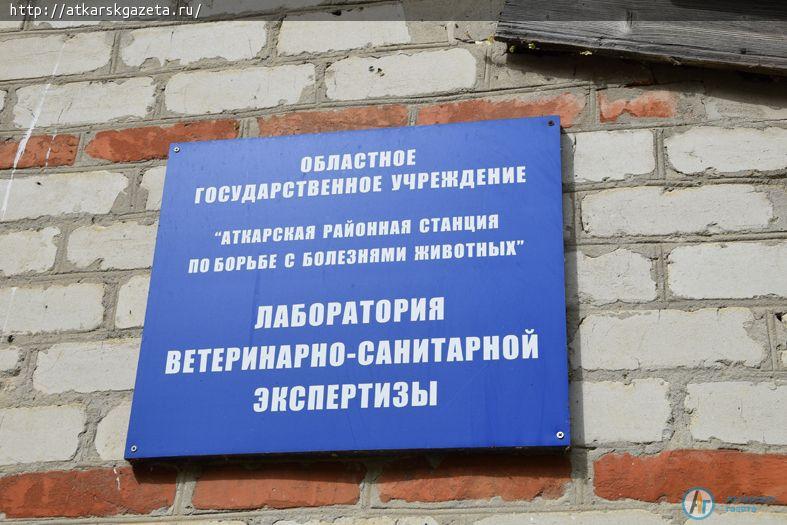 За выходной день ветеринарный врач выдает около полусотни разрешений на торговлю сельхозпродукцией (ФОТО)