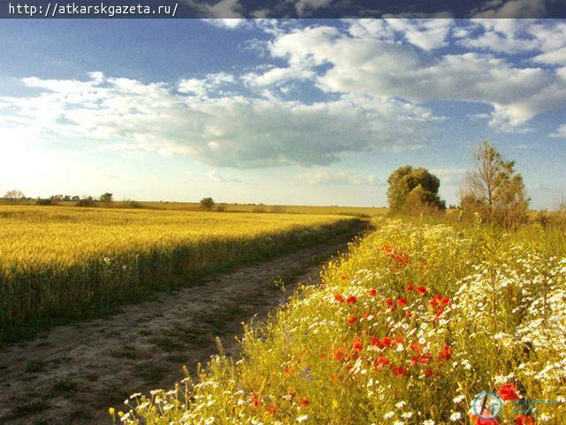Жара возвращает свои права